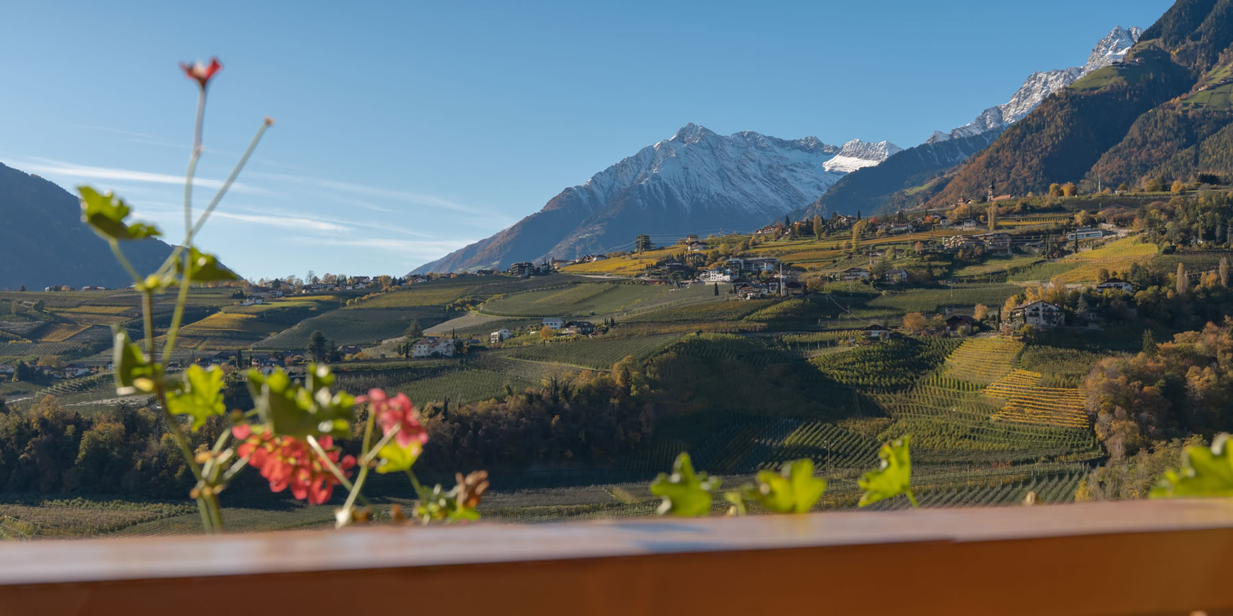Zimmer Petaunerhof Schenna